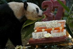Ťia-ťia je oficiálně nejstarší pandou žijící v zajetí