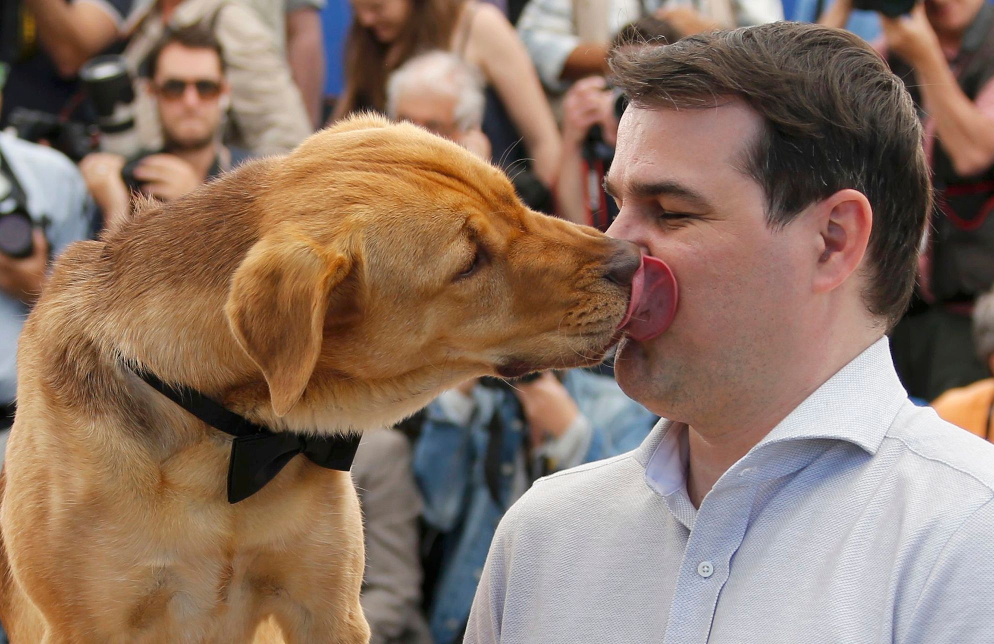 Director Kornel Mundruczo is licked by a dog during a photocall for the film &quot;Feher isten&quot; in competition for the category &quot;Un Certain Regard&quot; at the 67th Cannes Film Festival