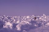Arktida. Překonávání ledových bariér – tarosů - na zamrzlé hladině Severního ledového oceánu.