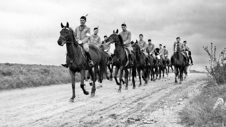 Vadily nacistům i komunistům. Sokolské slety patřily k vrcholům společenského života; Zdroj foto: ČTK