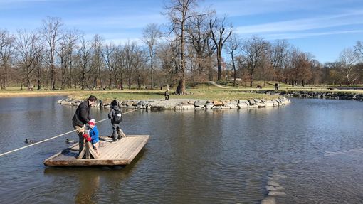 Lidé si navzdory šíření koronaviru užívají hezkého počasí v Praze, například v parku Stromovka.