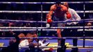 Vladimir Kličko vs. Anthony Joshua