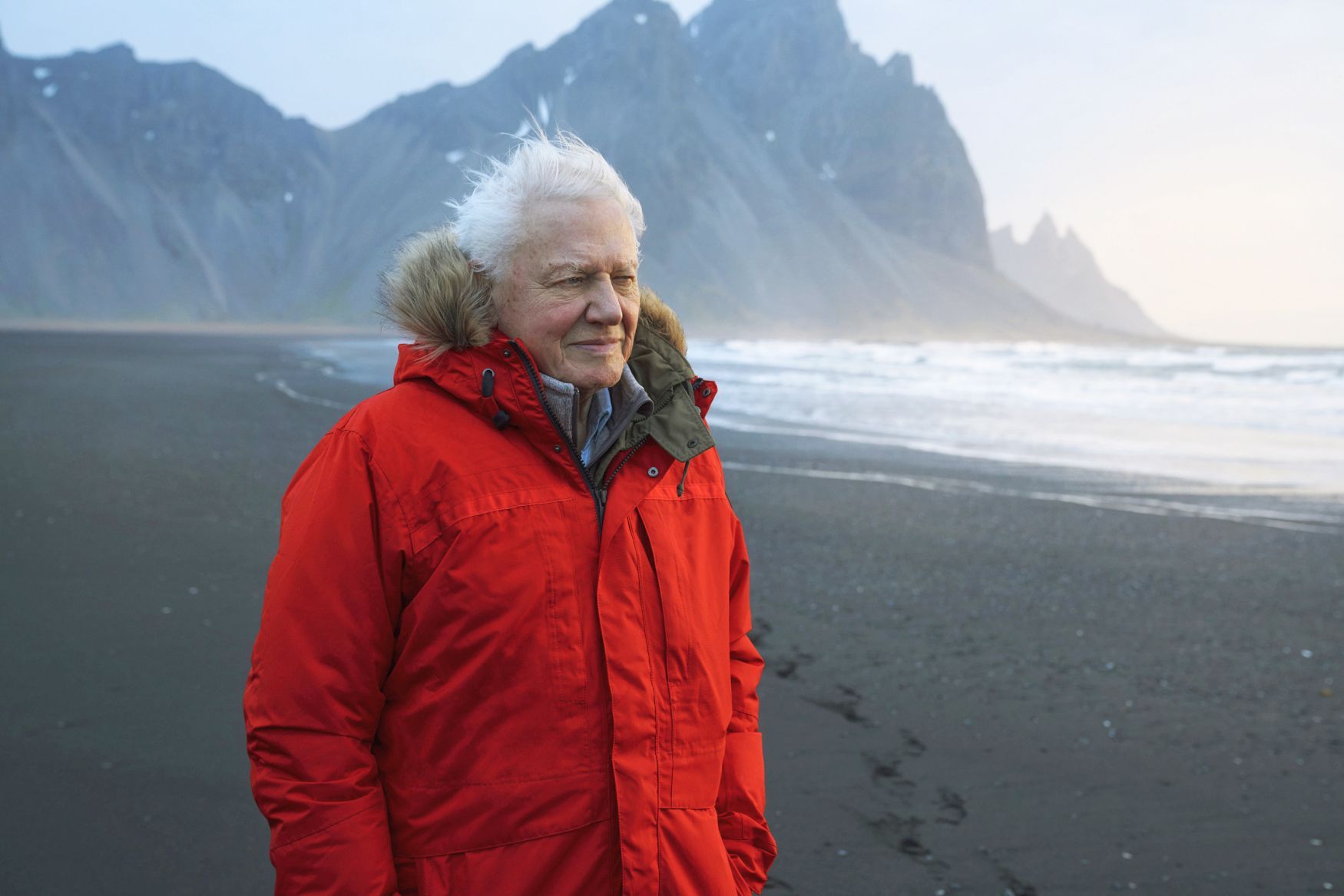 Jednorázové užití / Fotogalerie / Legendární britský přírodovědec David Attenborough slaví 95. narozeniny