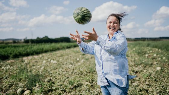 Samosběr melounů otevřeli na vraňanské farmě letos vůbec poprvé a podle Dagmar Hančové je o něj velký zájem.