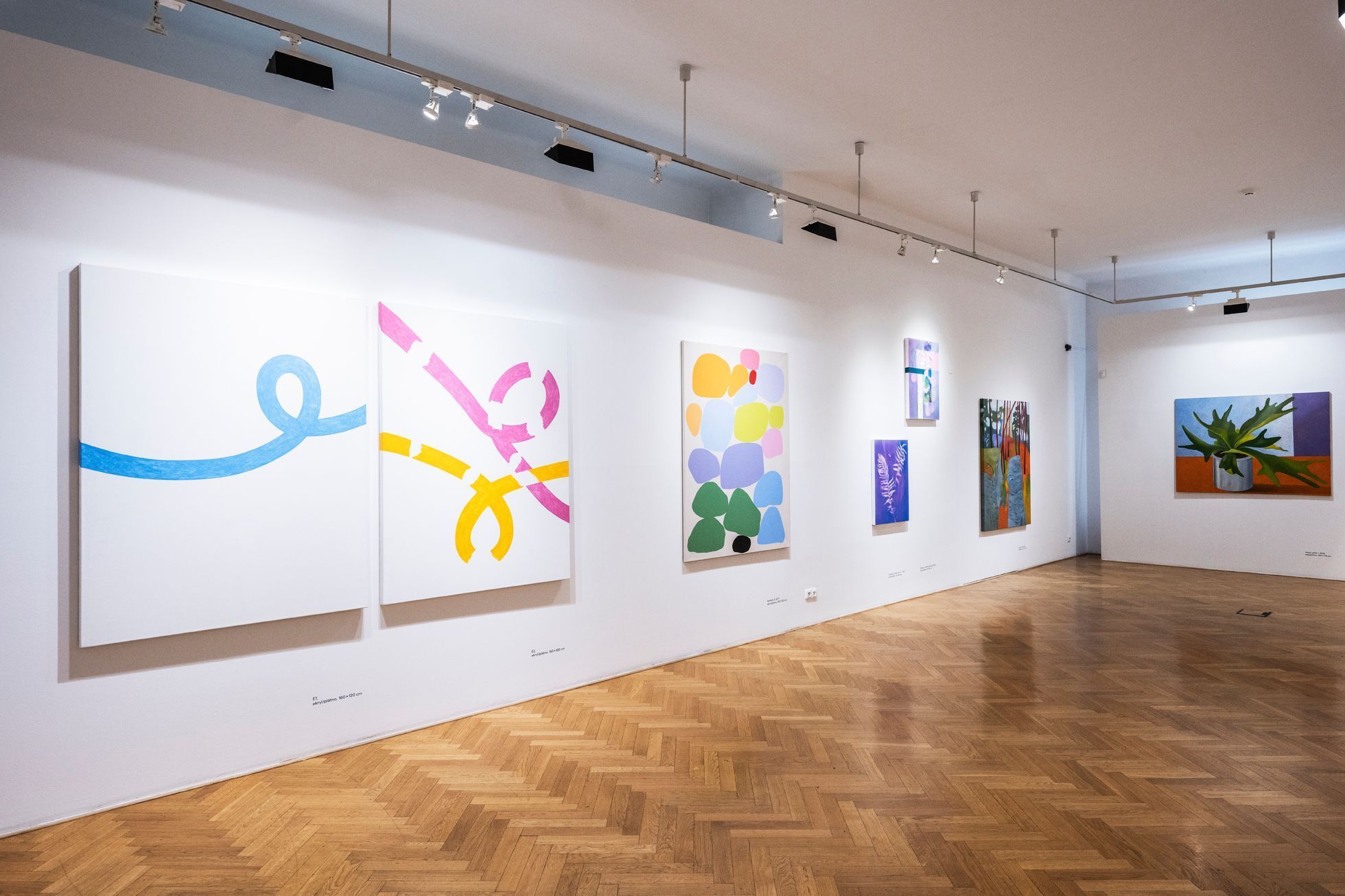 Zdena Šafka, Galerie Villa Pellé, 2023