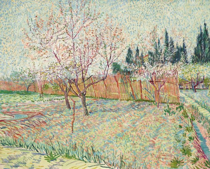 Vincent van Gogh: Sad s cypřiši, 1888, vydraženo za 2,8 miliardy korun.