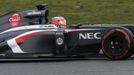 Formule 1: Nico Hülkenberg, Sauber