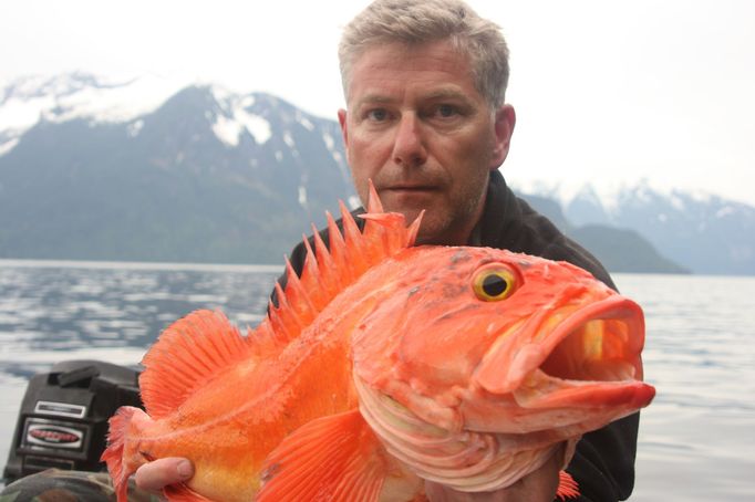 Na rybářské výpravě v zátoce Bute Inlet v Britské Kolumbii Svoboda chytil chňapala červeného. Rok 2009.