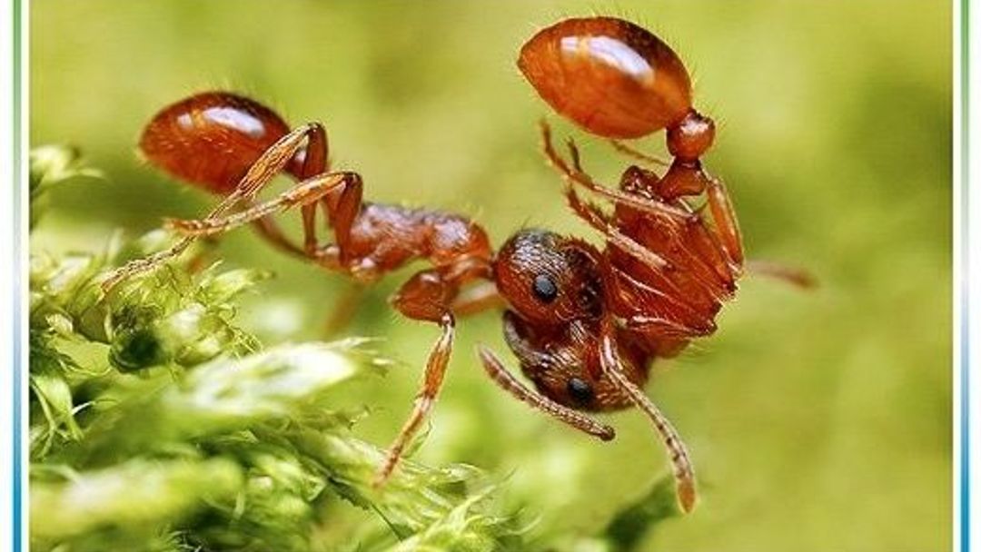 Soutěž Ekologie v objektivu je zpět! Tentokrát na vědecké téma