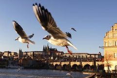 Zahraniční turisté v Česku loni utratili 202 miliard korun