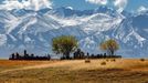 Miroslav Havelka: Kazachstán a Kyrgyzstán na fotografiích