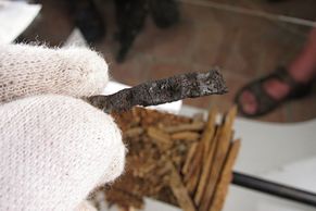 Obrazem: Poklad z Milevska. Možná hřeb z Ježíšova kříže v tajných chodbách kláštera