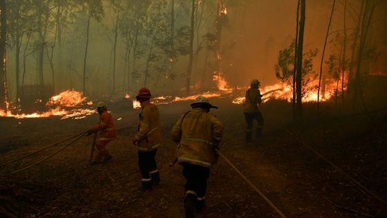 Požáry v Colo Heights v Austrálii, jihozápadně od Sydney.