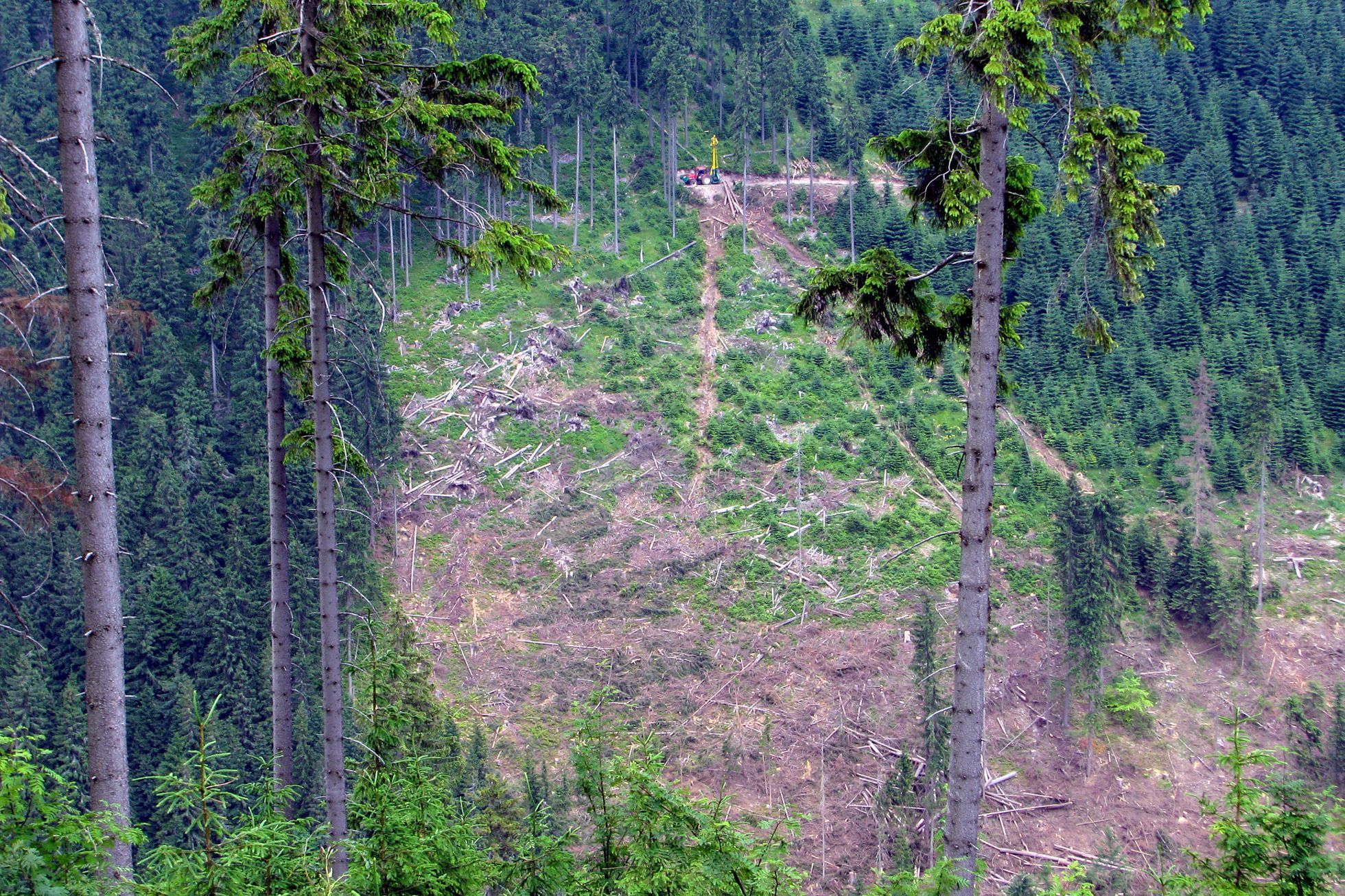 Krkonošský národní park