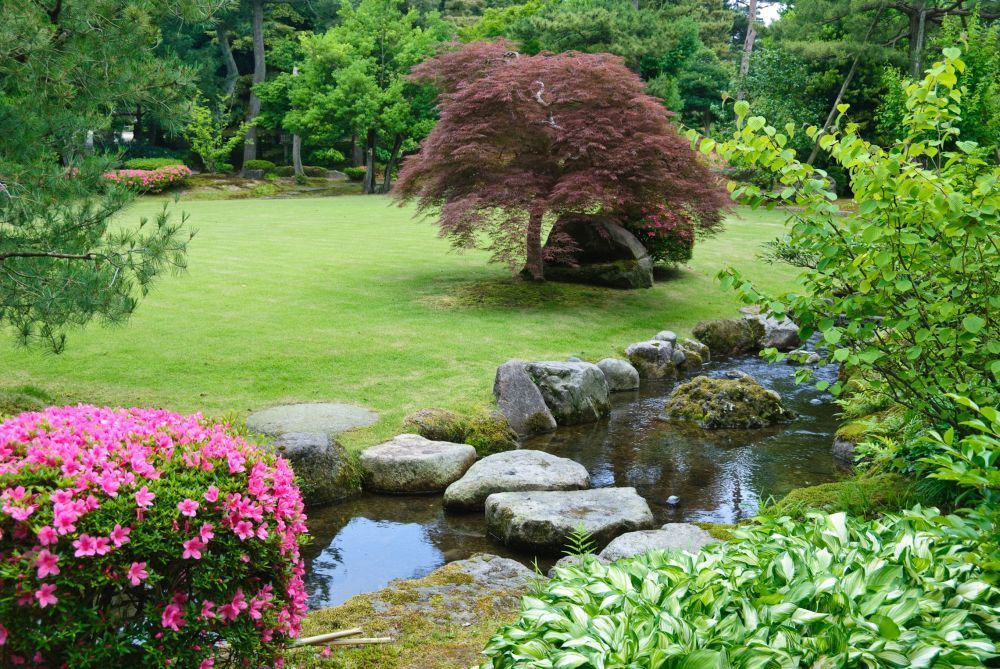 Japonská zahrada - úvod 1