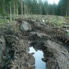 Koleje v Modravě v Národním parku Šumava