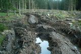 Hlídky ekologů objevily hluboké vyježděné koleje po těžké technice a rozježděnou lesní půdu, kterou kola přeměnila na neživé bahno. "Již nyní dochází při deštích ke splachování rozryté půdy, což je alarmující zvlášť v národním parku," tvrdí ekolog.
