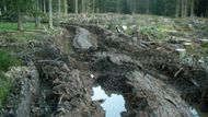 Hlídky ekologů objevily hluboké vyježděné koleje po těžké technice a rozježděnou lesní půdu, kterou kola přeměnila na neživé bahno. "Již nyní dochází při deštích ke splachování rozryté půdy, což je alarmující zvlášť v národním parku," tvrdí ekolog.