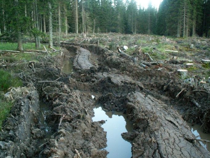 Koleje v Modravě v Národním parku Šumava