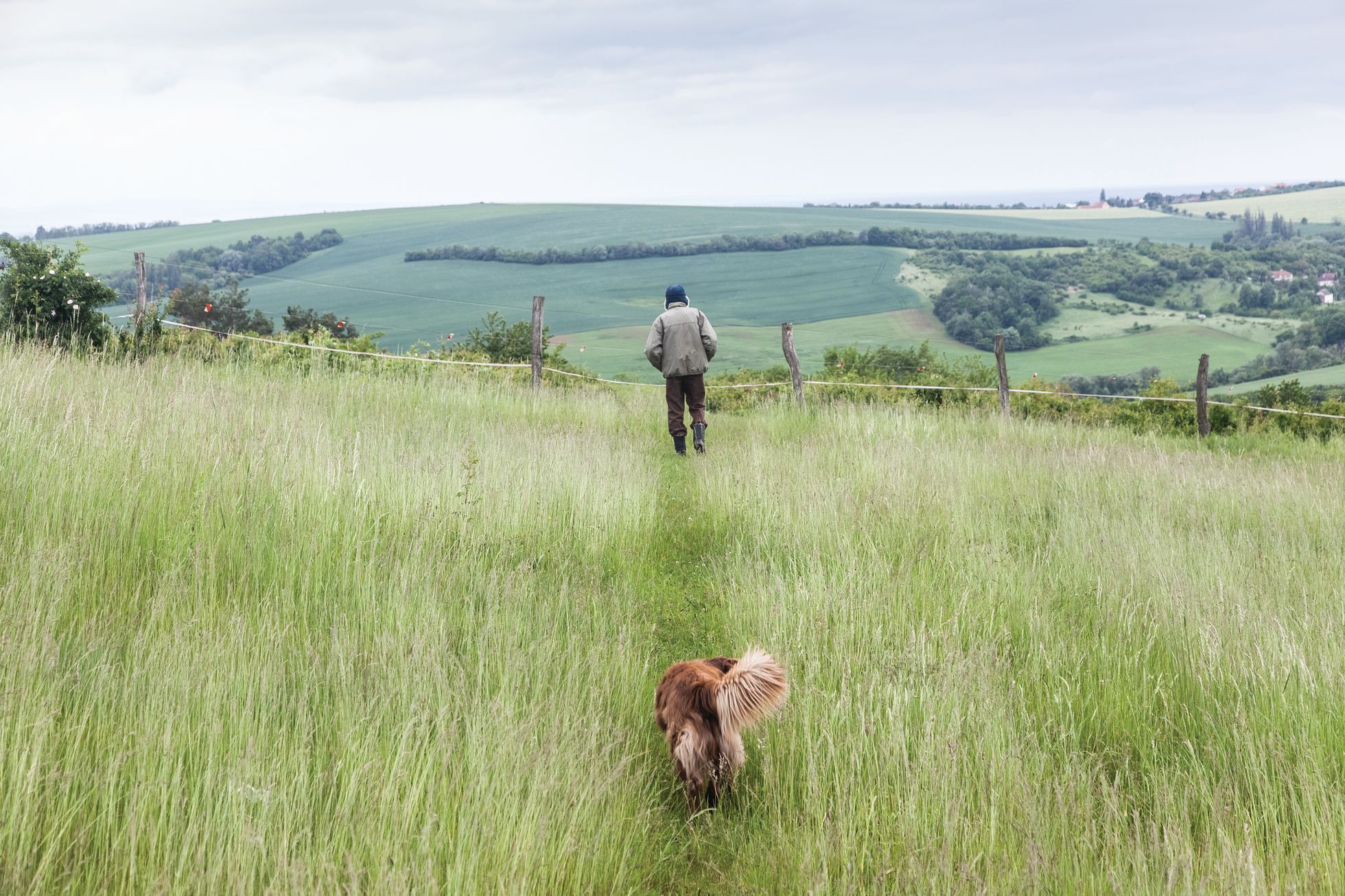 Aleš Palán, Samotáři 2