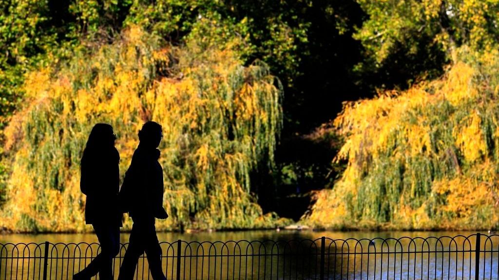 Romantika v londýnském St James's Park.