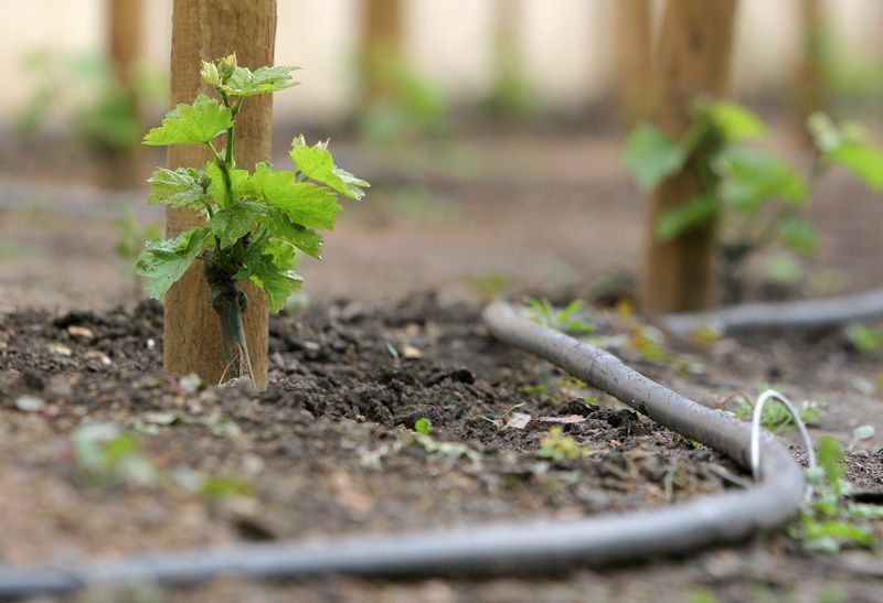 Velká Fürstenberská zahrada