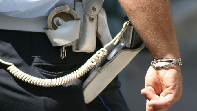 Někteří policisté by měli služební zbraň vrátit, navrhuje ministerská komise.