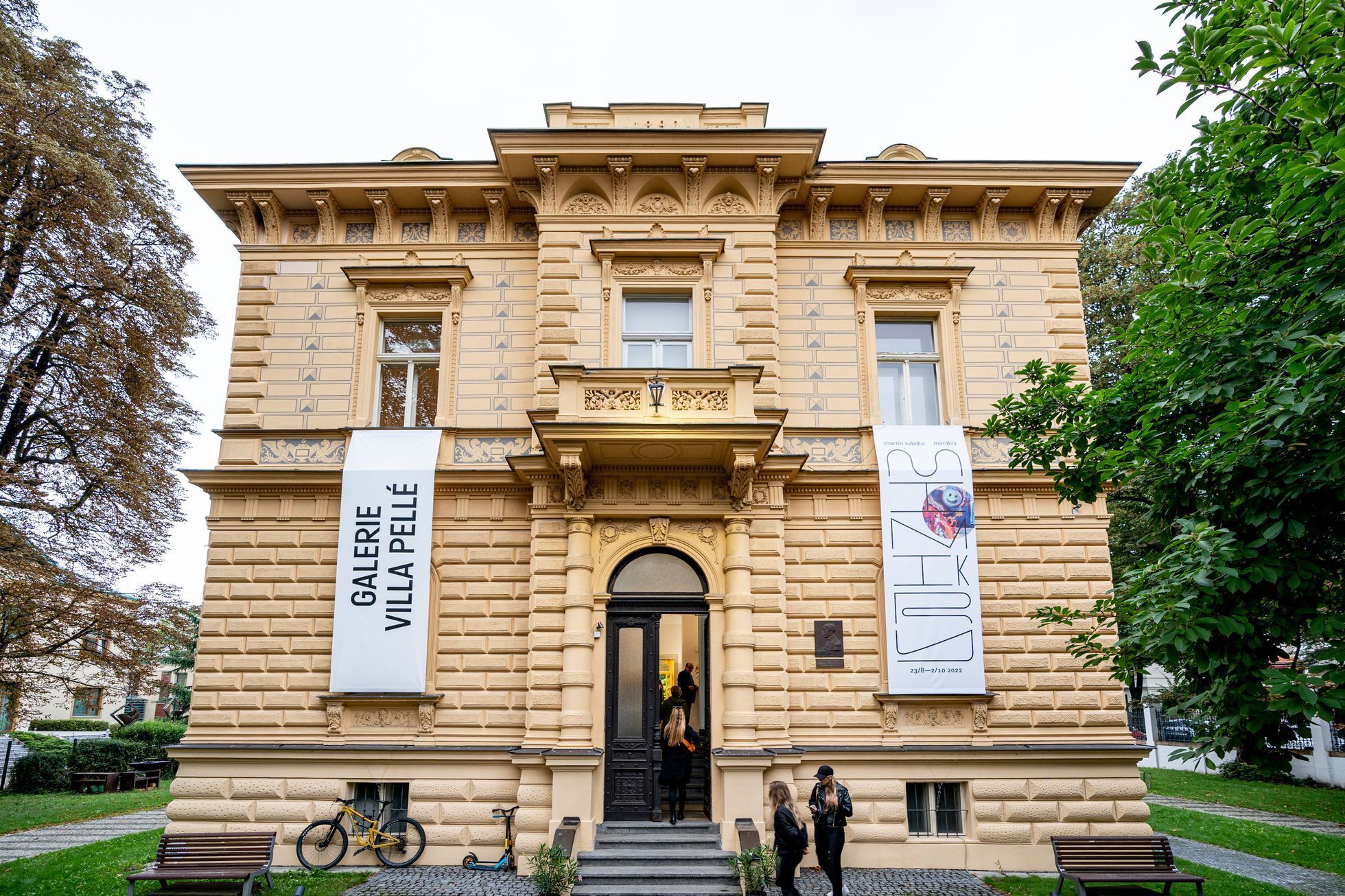 Martin Salajka: Mimikry