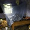 Malárie - spící žena pod moskytiérou