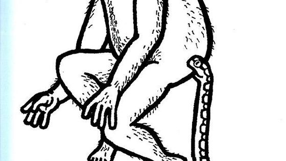 Doktor od Jezera Hrochů