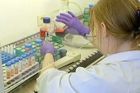Německo: virus H5N1 u domácí drůbeže