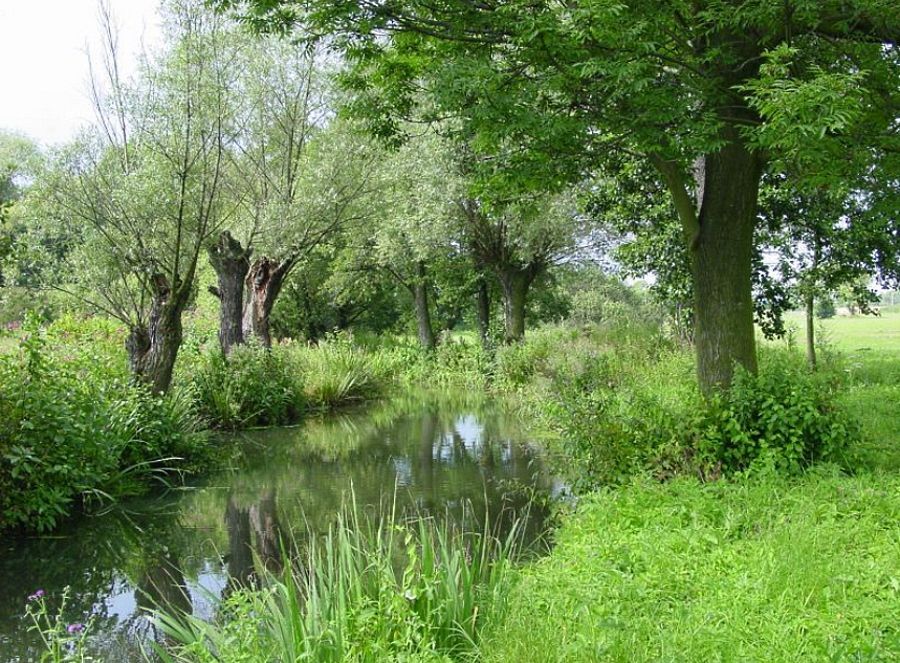 Krajina Poodří