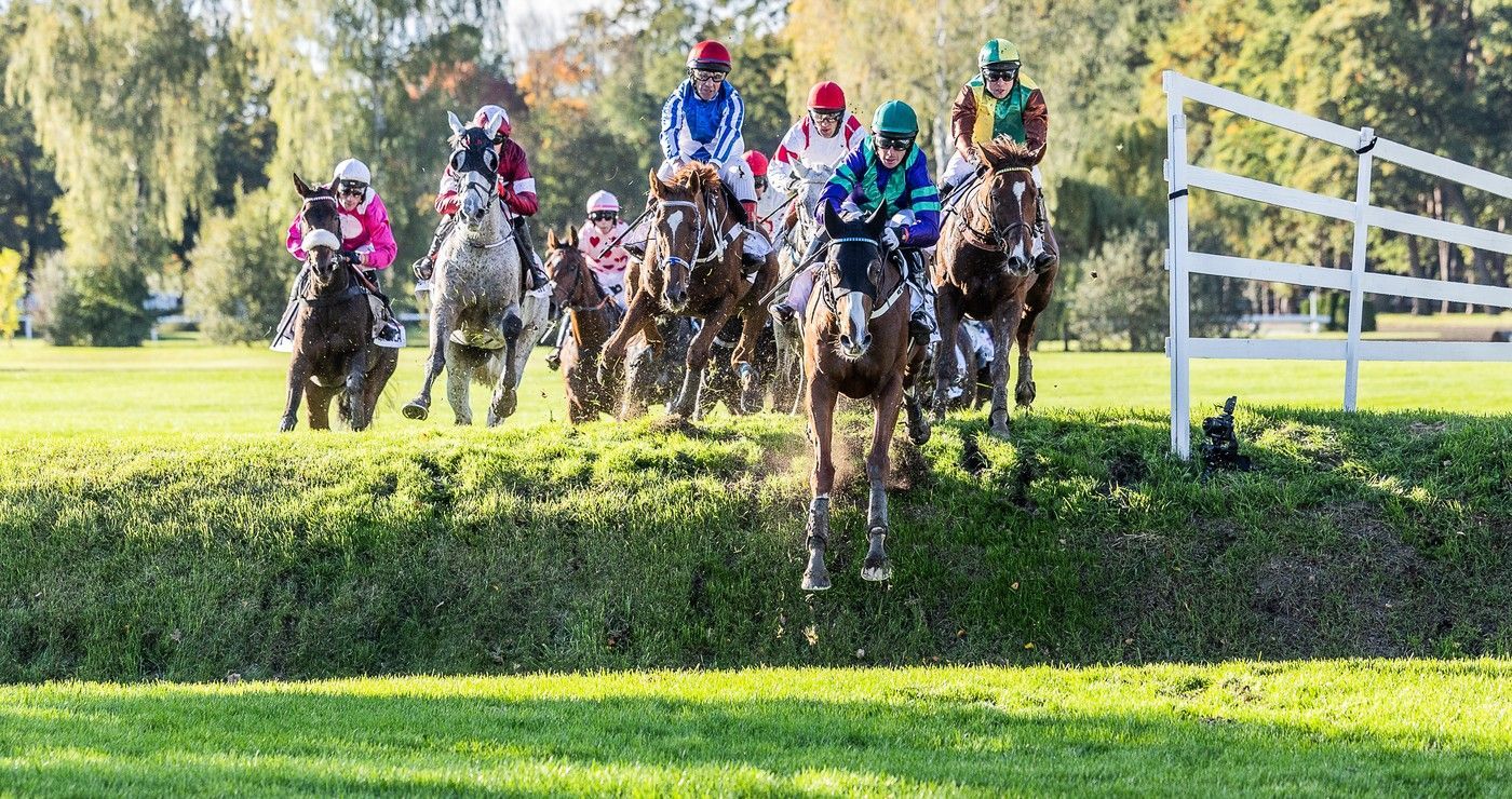 Velká Pardubická, historie, výročí, dostih, dostihy, Pardubice, Sport