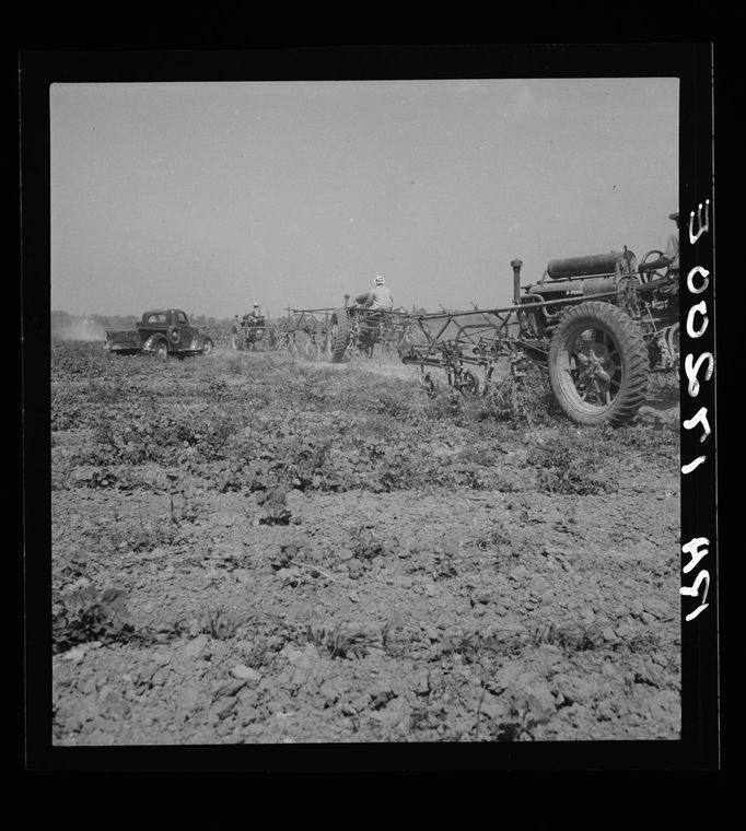 Snímek z plantáže v Mississippi, červen 1937.