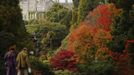 A couple walk past changing autumn leaves in Sheffield Park Gardens near Haywards Heath in southern England October 17, 2012. REUTERS/Luke MacGregor (ENVIRONMENT SOCIETY) Published: Říj. 17, 2012, 3:45 odp.