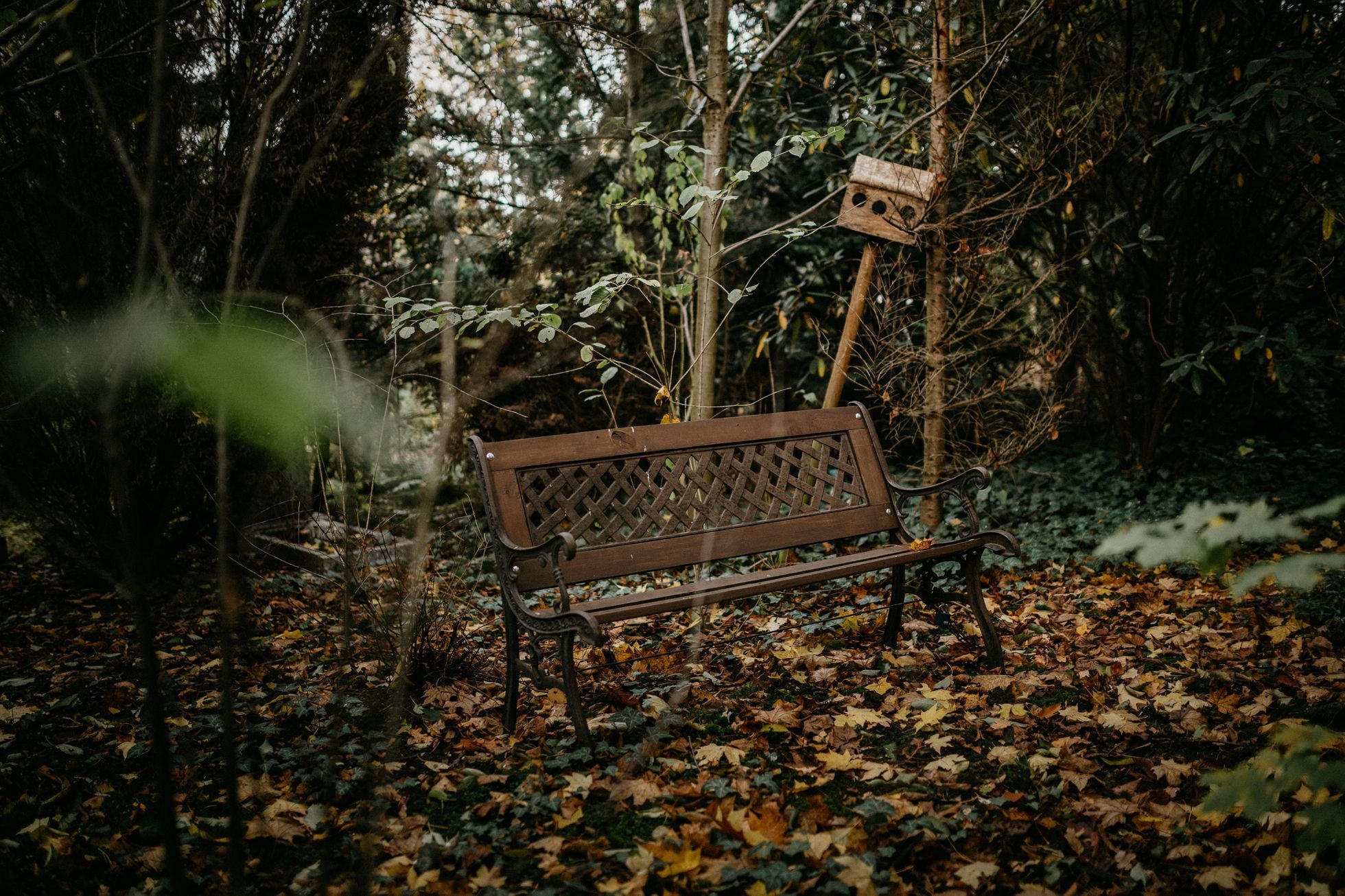 hřbitov Bohnice hřbitov bláznů