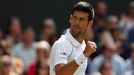 Novak Djokovič ve finále Wimbledonu 2021