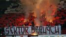 Fotbal, Gambrinus liga, Plzeň - Slavia Praha: fanoušci Slavie