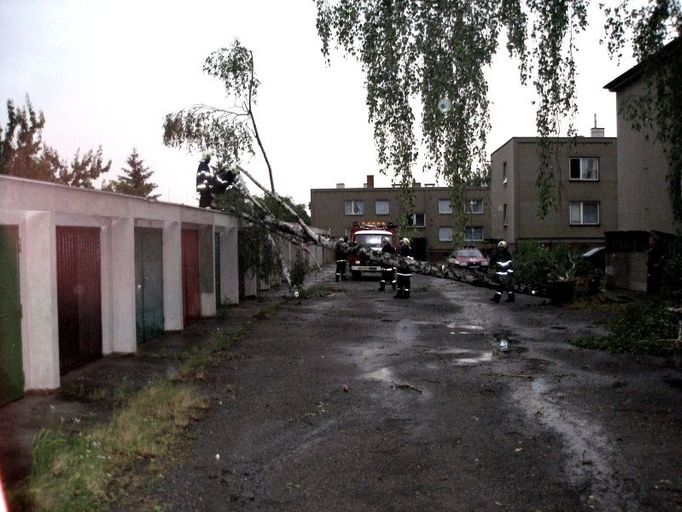 Spadlý strom v Chlumci nad Cidlinou, ulice Zimova.