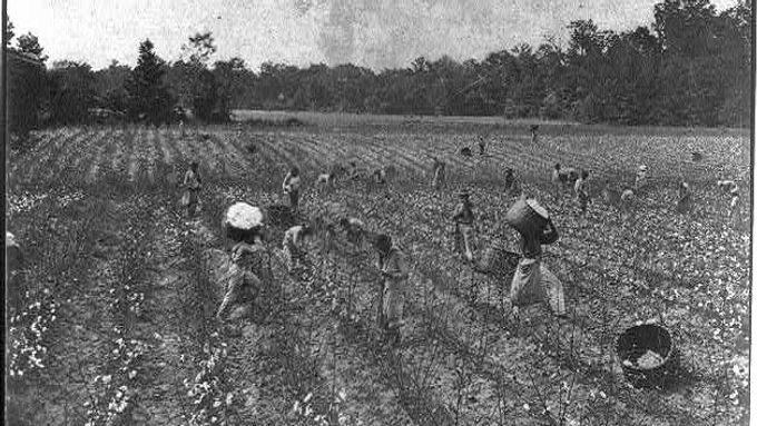 Otroci na plantáži bavlny v Alabamě v roce 1860.