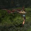 Tomb Raider: Anniversary