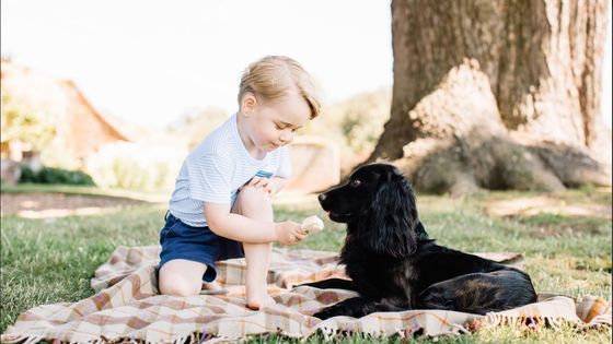 Fotky: Princ George slaví tři roky. Po tátovi miluje letadla, po mámě určuje módní trendy