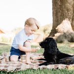 Na jedné z nejaktuálnějších fotografií, které zveřejnil Kensingtonský palác, si malý princ hraje se svým psem.