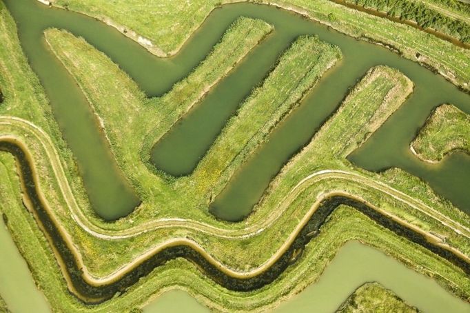 France, Vendee, L'Ile d'Olonne, fishponds (aerial view)