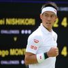 Wimbledon 2019, den druhý: Kei Nišikori