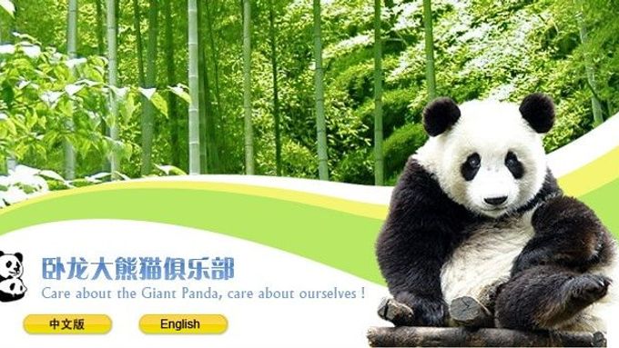 Pandy můžete pozorovat na internetové stránce www.pandaclub.net