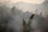 V letošním roce se v amazonském pralese výrazně zvýšil počet požárů. Může za to sucho či klimatické změny, ale také nelegální kácení a vypalování lesa za účelem získání zemědělské půdy.