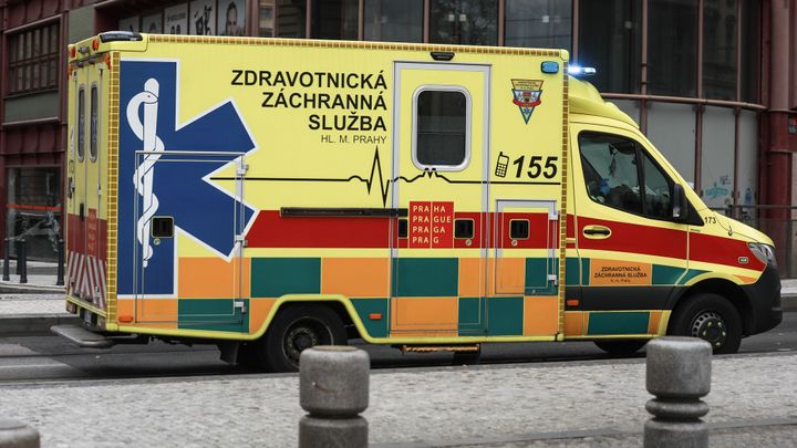 Zkoušely faraonova hada a popálily tři děti. Vedoucí tábora dostaly u soudu podmínku; Zdroj foto: Jakub Plíhal