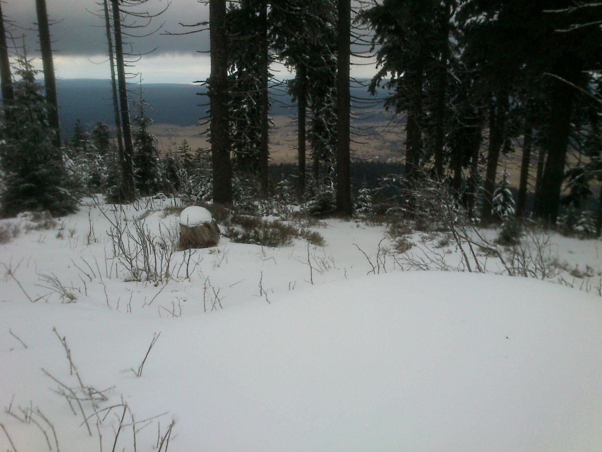 Kde hledat sníh? Začněte v 900 m.n.m.