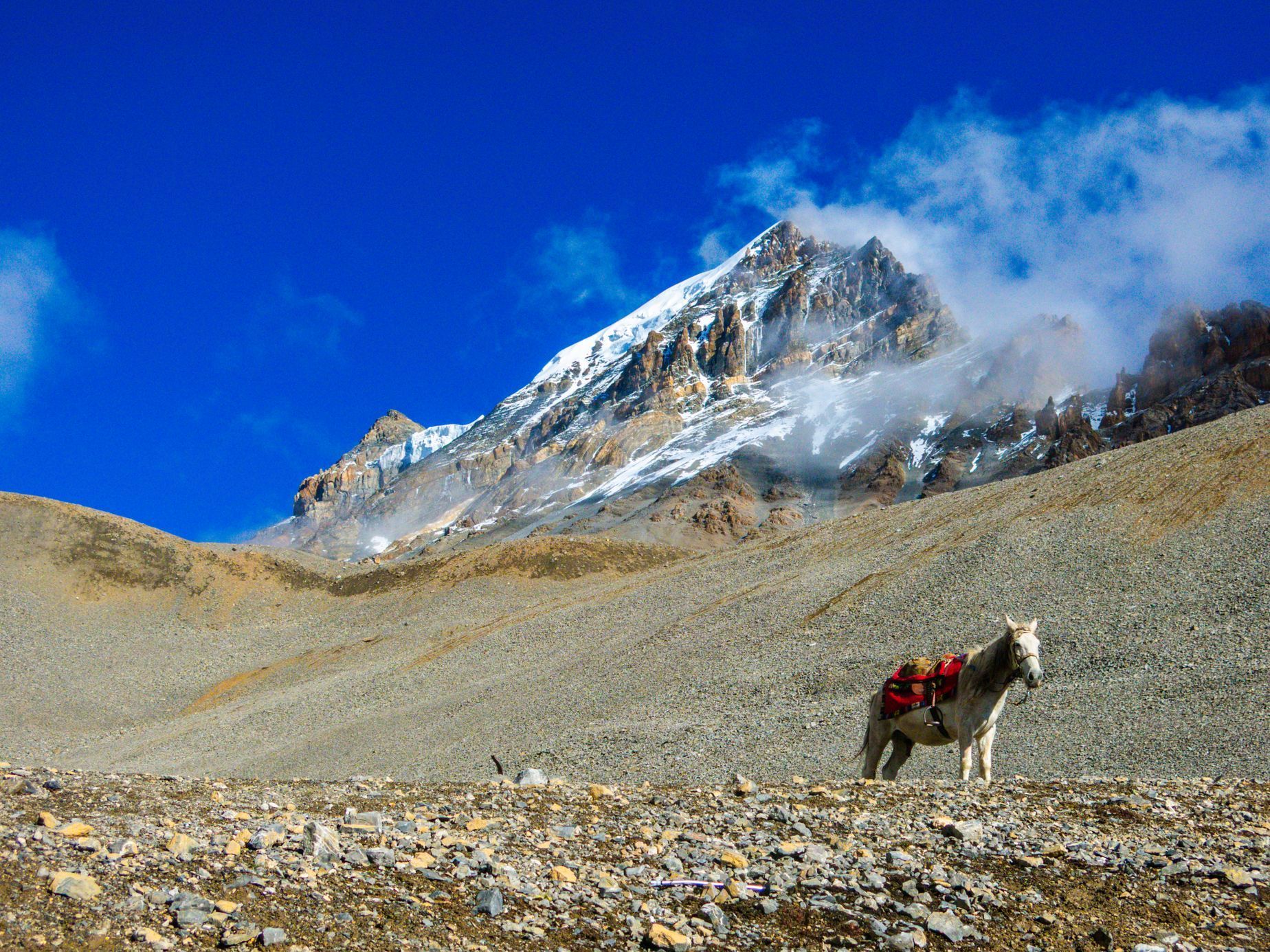 Jan Tráva Trávníček